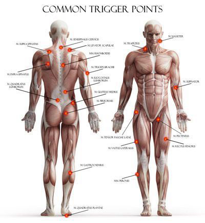 F & W NeuroMuscular Massage Therapy  Trigger Point, Myofascial Release,  Deep Tissue